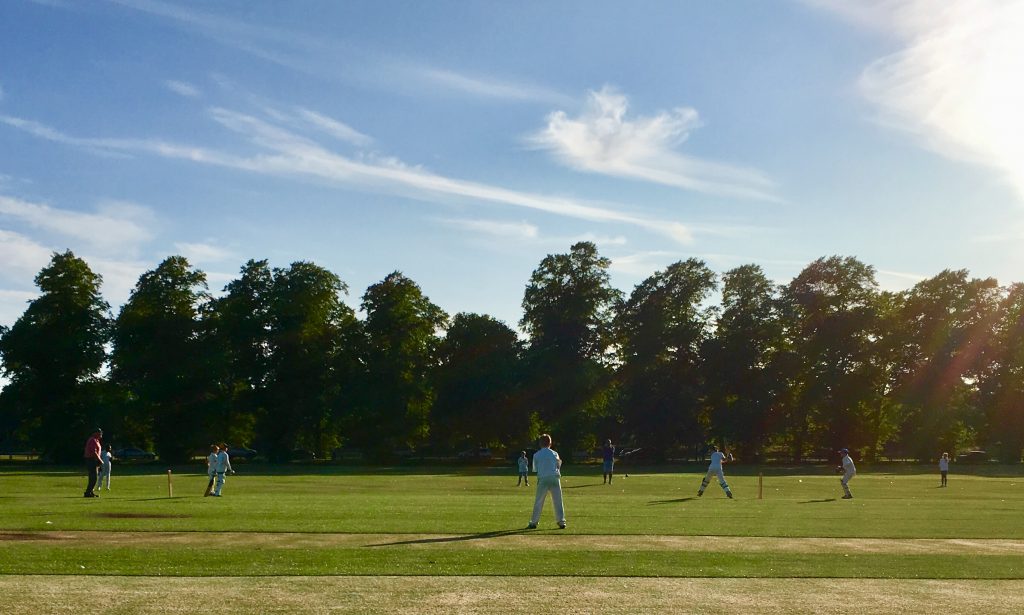 A junior cricket match on a summer evening